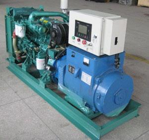 临武发电机出租